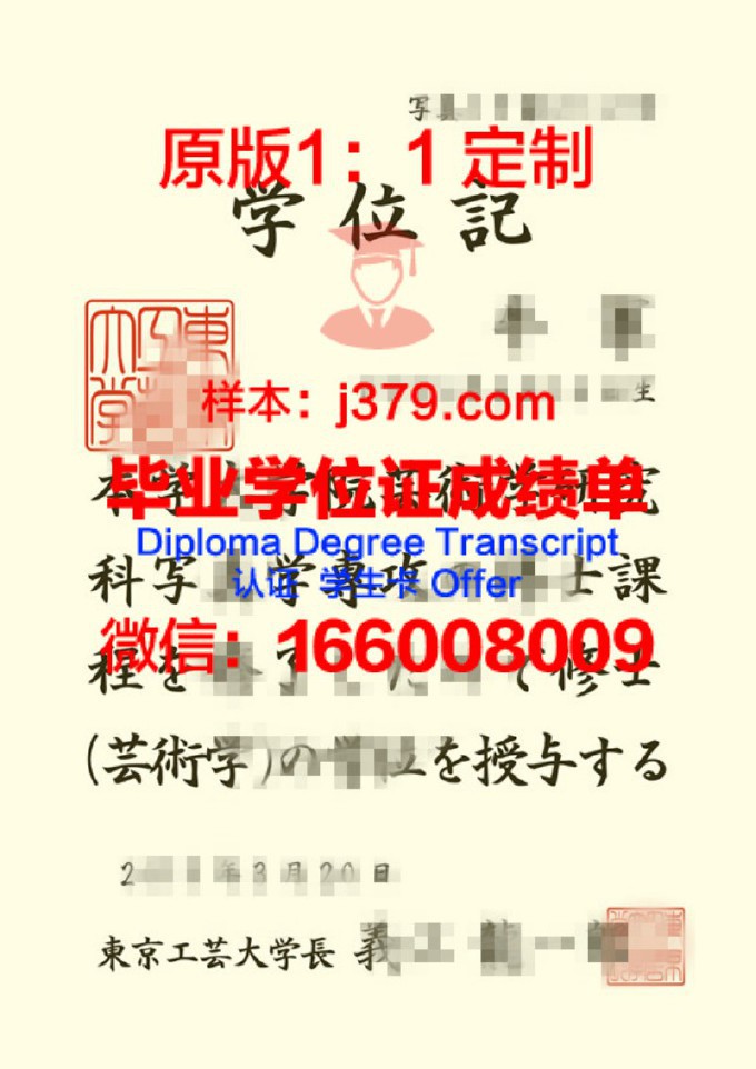 东京工业大学diploma证书(东京工业大学本科申请)