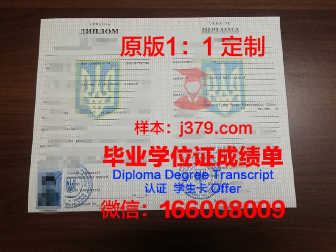 乌克兰国家科学院焊接研究所学历证书(乌克兰材料研究所)