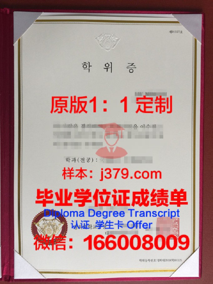 韩国理工Ⅳ大学diploma证书(韩国理工大学排名)