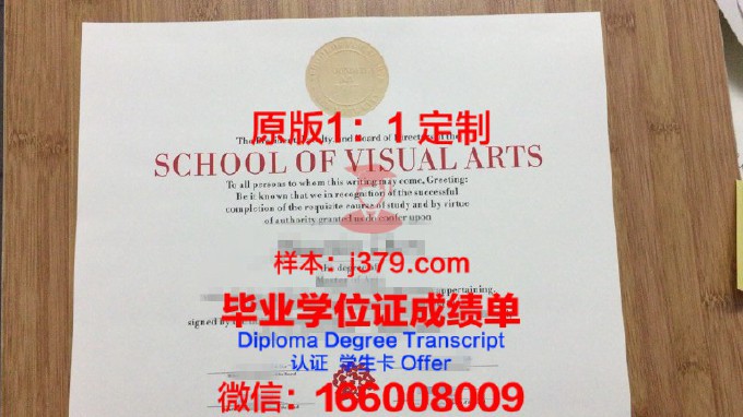 视觉传播学院diploma证书(视觉传播学校)