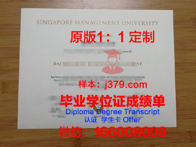 新加坡理工大学本科毕业证书(新加坡理工是本科吗)