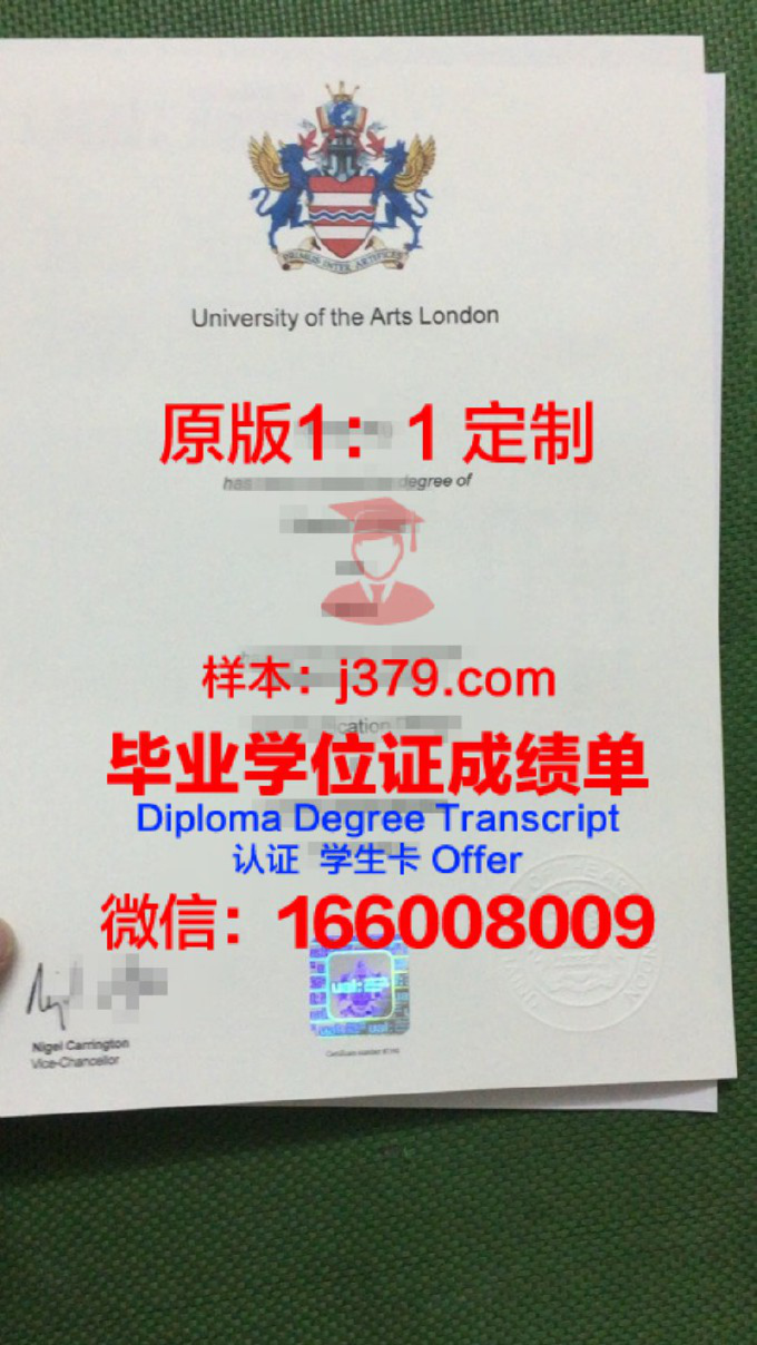 赫尔辛基艺术大学博士毕业证(赫尔辛基大学艺术专业)