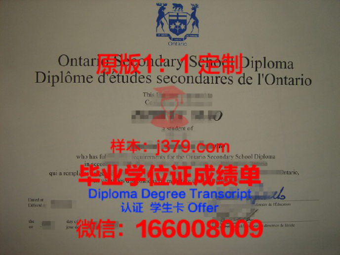 罗德斯大学diploma证书(罗德学院)