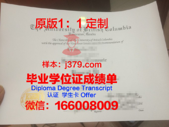 北英属哥伦比亚大学毕业证学位文凭学历Diploma