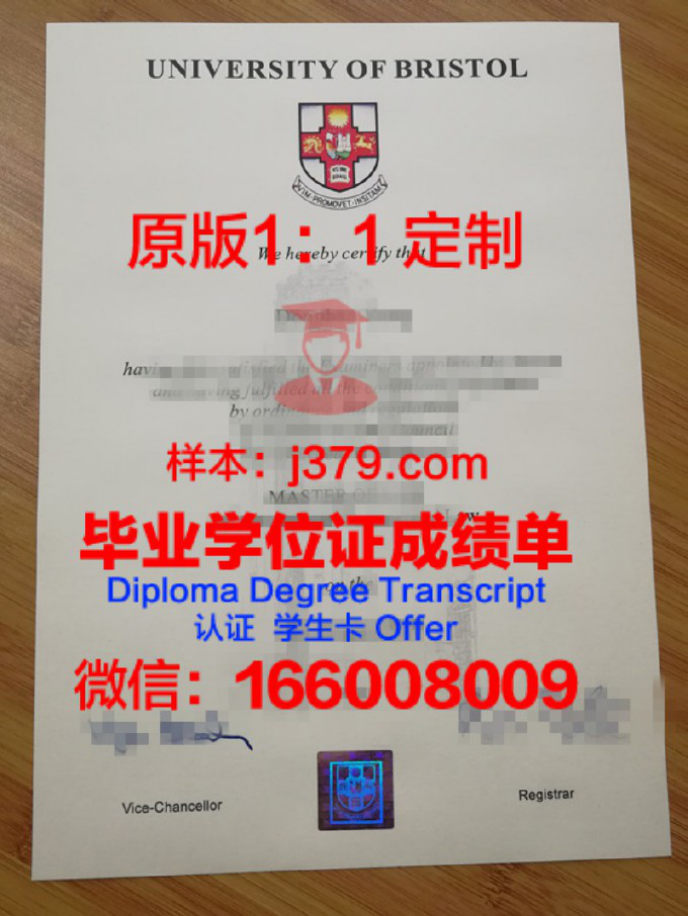 布里斯托大学毕业证学位文凭学历Diploma