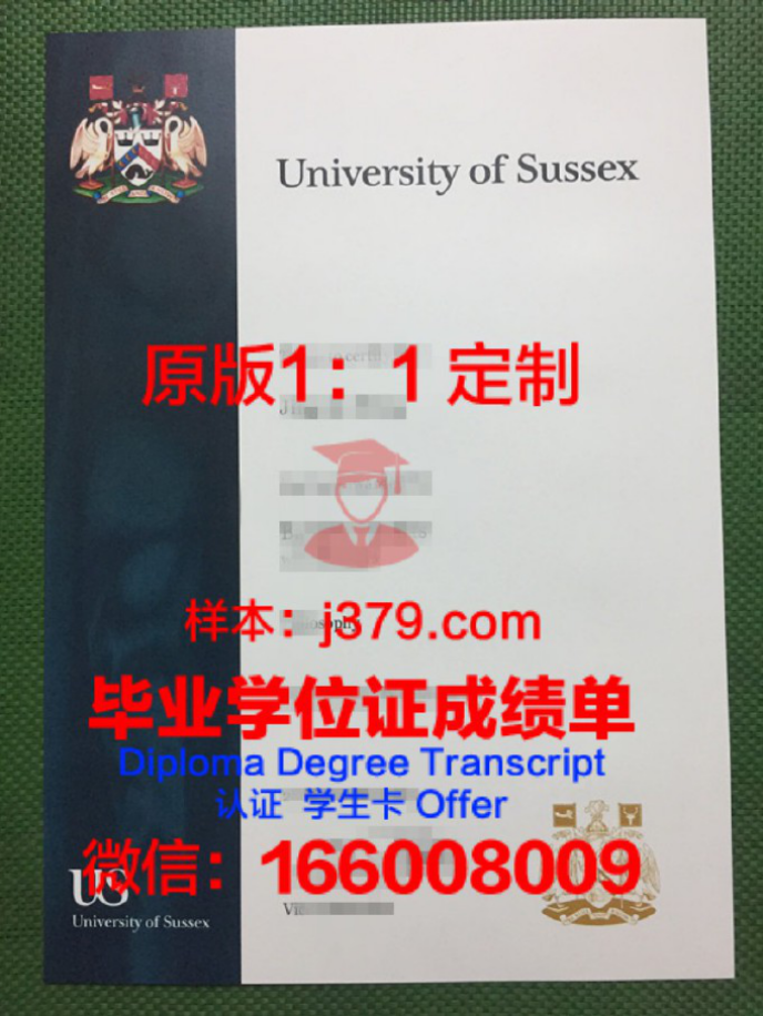 布莱顿和萨塞克斯医学院毕业证学位文凭学历Diploma