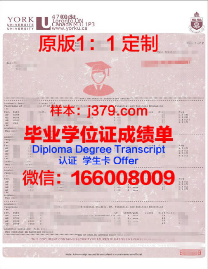 大学毕业生的成绩单：一张纸的重量与价值