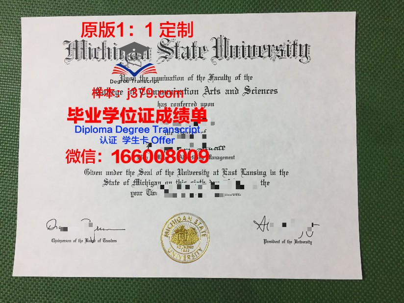 密歇根州立大学毕业证原版(密歇根州立大学本科申请条件)